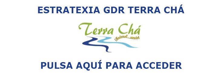 Estrategia